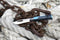 Opinel Zakmes - Outdoor - Grijs-Blauw - 19 cm