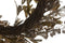 Kerstversiering DKD Home Decor Gouden 65 x 65 x 10 cm
