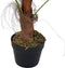 Decoratieve plant DKD Home Decor Palmboom Groen PE (40 x 40 x 90 cm)