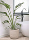 Capi Europe - Bloempot Waste Rib NL - 43x41 - Terrazzo beige - Breukbestendig - 100% recyclebaar