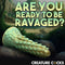 Stegosaurus - Spiky Reptile Silicone Dildo - Green