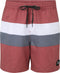 Quiksilver Seasons 17 - Zwembroek Heren - Gerecycled polyester katoen - Apple Butter