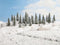 NOCH Hobby 26828 Set bomen Besneeuwde zilverspar 50 tot 140 mm Sneeuwwit 25 stuk(s)