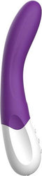 G-spot Vibrator Liebe Bend It | Oplaadbaar Paars