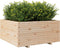 vidaXL - Plantenbak - 100x100x49,5 - cm - massief - grenenhout