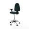 Piqueras y Crespo B2D05RF - Bureaustoel - Hoogteverstelbaar met armleuning - Groen