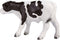 Mojo Farmland Holstein Kalf Staand - 387061