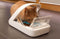 Surefeed Microchip Automatische Voerbak - Voerbak - 30 x 23 x 22 cm - Voor katten - Voerautomaat