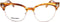 Brillenframe Dames Dsquared2 DQ5207-047 Bruin