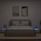 vidaXL - Nachtkastjes - 2 - st - met - LED's - 60x35x40 - cm - artisanaal - eikenkleur