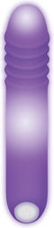 Evolved Vibrator Love Toy EVOLVED THE G-RAVE Paars