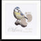 Thea Gouverneur - Borduurpakket met telpatroon - 509A - Voorgesorteerde DMC Garens - Geboortetegel Mees - Aida - 15 cm x 15 cm - DIY Kit