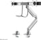 Neomounts NM-D775DXSILVER - Monitorarm voor 2 schermen - Verstelbaar - Zilver