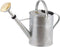 Gieter - zilverkleurig - zink - met broeskop - 9 liter - 56 x 24 x 41 cm