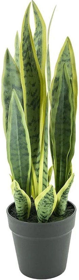 By-Boo Kunstplant Sansevieria - Small