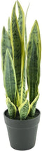 By-Boo Kunstplant Sansevieria - Small