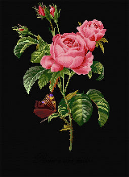 Thea Gouverneur - Borduurpakket met telpatroon - 2030.05 - Voorgesorteerde DMC Garens - Roos Redoute - Zwart Aida - 26 cm x 38 cm - DIY Kit