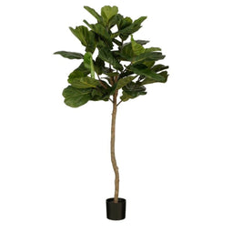 Ficus Lyrata Kunstplant – Realistische Fiddle Leaf Plant | H165 x Ø95 cm – Onderhoudsvrij Groen Stat