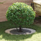 vidaXL - Plantenring - Ø60/90 - cm - in - roestvrij - staal