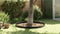 vidaXL - Wortelbarrière - Zwart - 0,7x5 - m - 1,5 - mm - HDPE