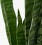 Mica Decorations Sanseveria Kunstplant in Bloempot - H80 x Ø15 cm - Groen