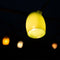Weltevree | Stringlight | Buitenverlichting | Tuinverlichting | Sfeer Verlichting Binnen & Buiten, Lichtsnoer, Lichtslinger | Wit | 12 meter kabel | Incl, Lampen