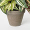 Mica Decorations Tradescantia - Kunst Hangplant H45 x Ø25 cm - Terracotta Pot - Groen