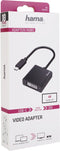 Hama 00200316 - USB-C naar DVI-D kabel - 4K Ultra-HD - Zwart