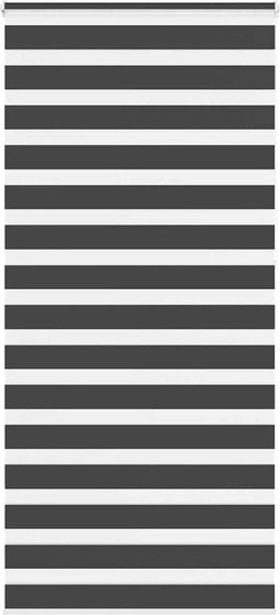 vidaXL - Zebra - rolgordijn - 100x230 - cm - stofbreedte - 95,9 - cm - zwart