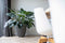 Capi Europe - Vaas elegant laag Groove NL - 46x58 - Ivoor - Opening Ø38 - Bloempot voor binnen en buiten - Levenslang garantie - Breukbestendig - 100% Recyclebaar - CO2 Neutraal geproduceerd - KGVI783