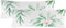 Set van 2 kussenslopen Delicate | Happy Friday