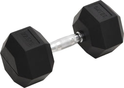 vidaXL - Halters - 22,5 - kg - gietijzer