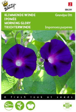 5 stuks - Buzzy - Ipomoea Grandpa Ott Tuinplus