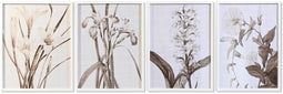 Schilderij DKD Home Decor Kristal Berken 55 x 70 x 2,5 cm 55 x 2,5 x 70 cm Blommor (4 Onderdelen)