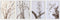 Schilderij DKD Home Decor Kristal Berken 55 x 70 x 2,5 cm 55 x 2,5 x 70 cm Blommor (4 Onderdelen)