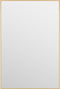 vidaXL - Deurspiegel - 40x60 - cm - glas - en - aluminium - goudkleurig