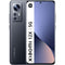 Xiaomi 12X - Grijs - 256 GB - Dubbele fysieke simkaart