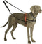 Halti trainingslijn zwart small/medium - 1 ST