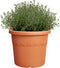 Elho Algarve Cilindro 25cm - Grote Bloempot voor Buiten - 100% Gerecycled Plastic - Terra