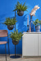 Mica Decorations Plantenhouder - L40 x B33 x H140 cm - Zwart