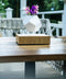 LYFE Planter 1.1 Zwevende Bloempot - Eiken / Wit