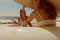 Sunnylife Inflatable GamesRecycled Bio Pool Fiesta Mariposa