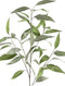 PTMD Leaves Plant Eucalyptus Kunsttak - 53 x 38 x 95 cm - Groen/Grijs