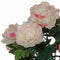 Mica Decorations Pioenroos Kunstplant in Bloempot Campana - H50 x Ø45 cm - Zalmroze