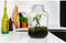 Growing Concepts DIY Duurzaam Ecosysteem Weckpot 5L - Planten - Calathea - H28xØ18cm