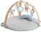 Bright Starts Ingenuity Speelkleed - Babygym - Activiteiten Gym - Cozy Spot - Speeltapijt baby - houten boog