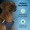 Jake and Jacky Hondentuigje - Anti-Trek Tuig - Y Tuig Hond - Reflecterend - Blauw - Maat L