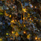 Hedera Hibernica - Klimop - Kant-en-Klaar Haag | 120cm - ↨150 cm