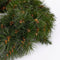 Triumph Tree Forest Frosted - Kerstkrans - Ø60 cm - Groen