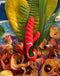 G-Vibe - G-Candy Mini - Chili Coral